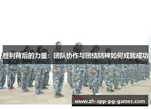 胜利背后的力量：团队协作与团结精神如何成就成功