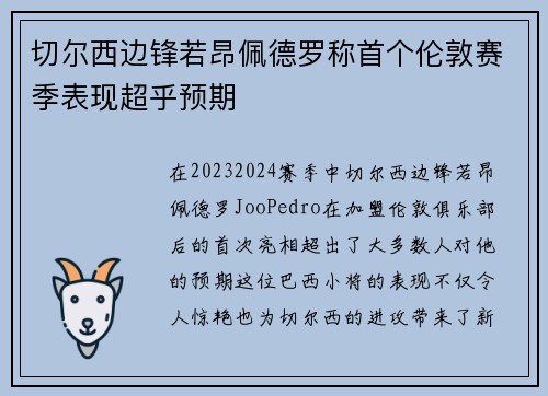 切尔西边锋若昂佩德罗称首个伦敦赛季表现超乎预期 切尔西边锋若昂佩德罗称首个伦敦赛季表现超乎预期